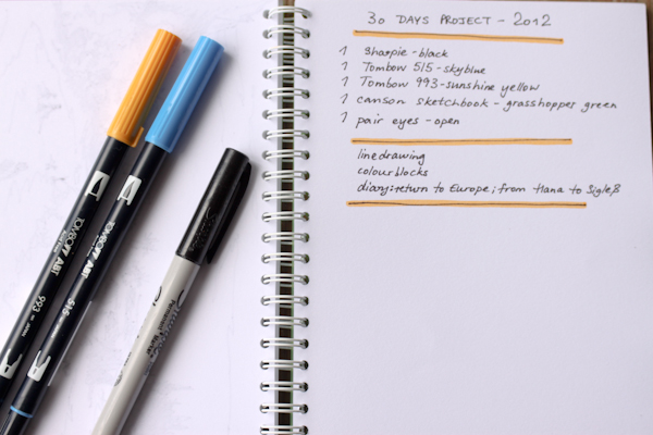 30 days project - 2012 - outline