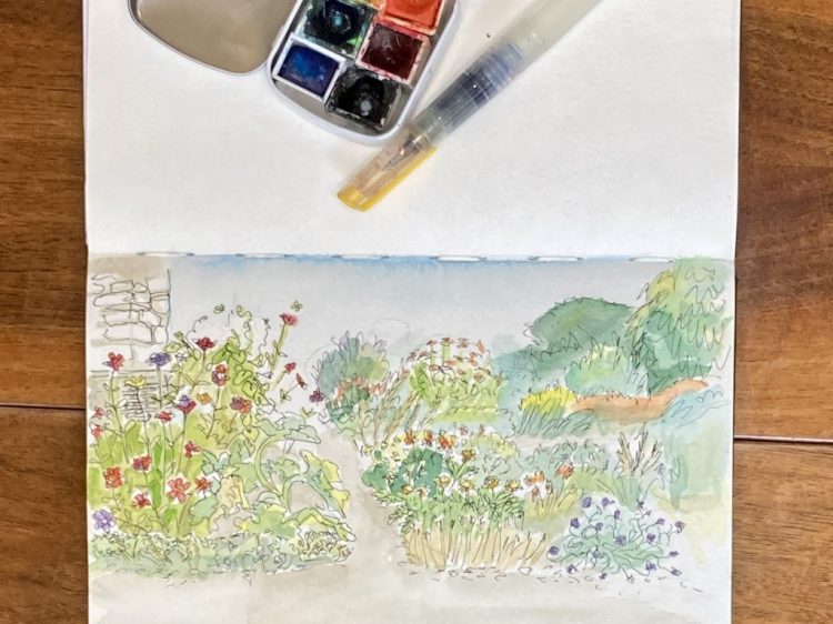 Skizzenbuch - Botanischer Garten im Hochsommer