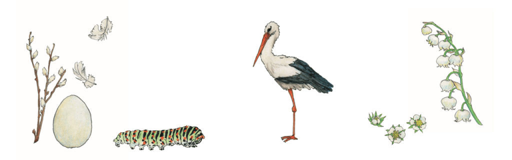 Vignetten zum Frühling - Buntstift mit Fineliner